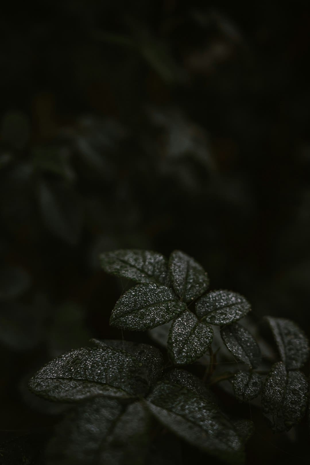 https://static.ws.126.net/163/frontend/images/2022/empty.png